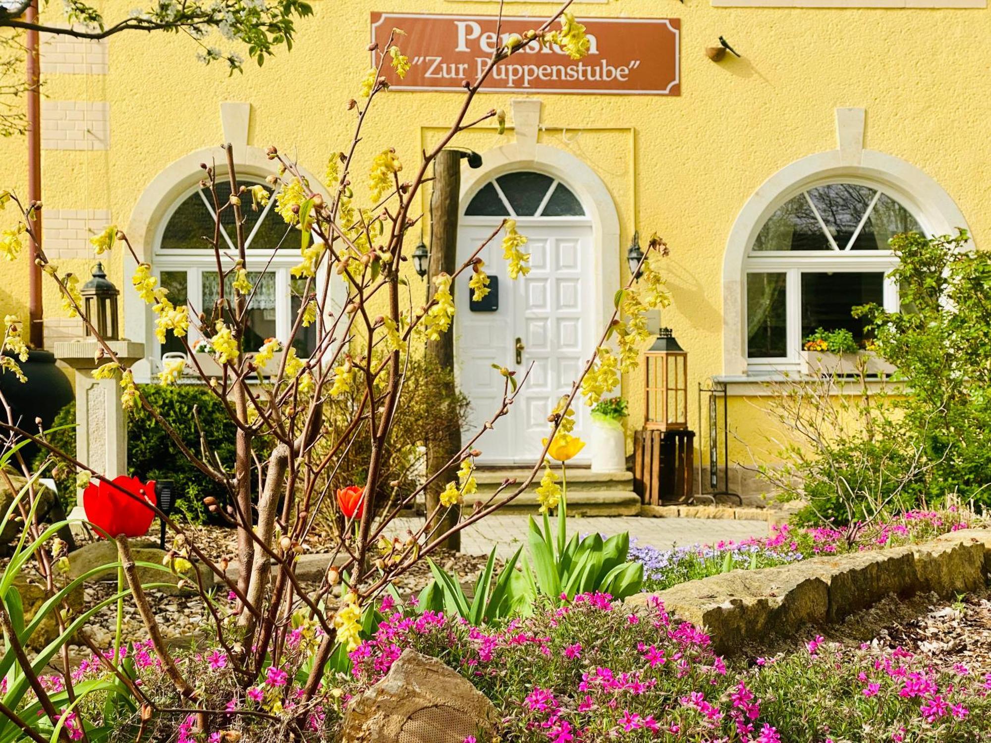 Restaurant Und Pension Zur Puppenstube Stolpen Dış mekan fotoğraf