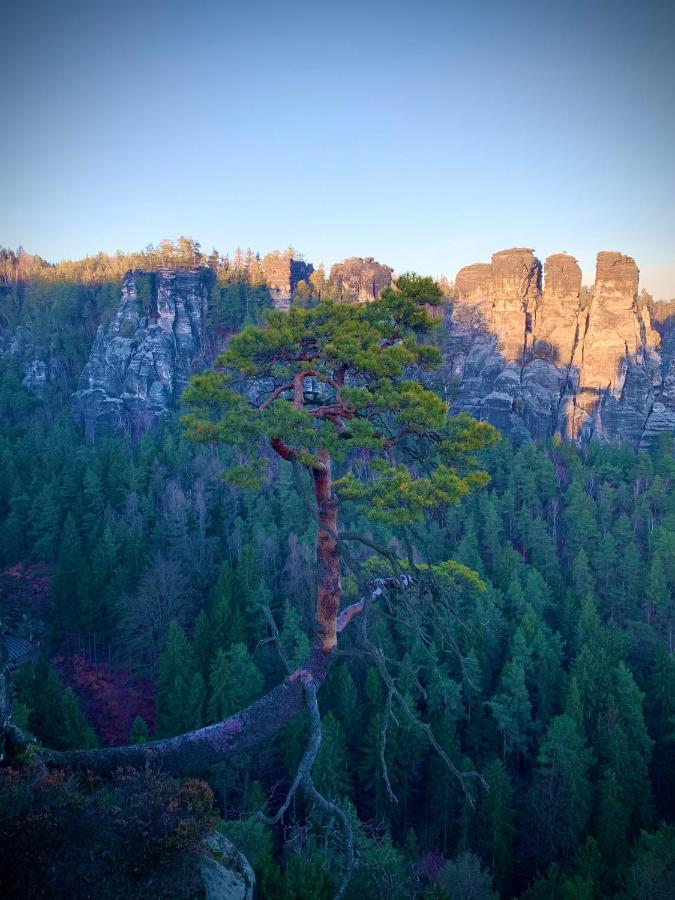Restaurant Und Pension Zur Puppenstube Stolpen Dış mekan fotoğraf